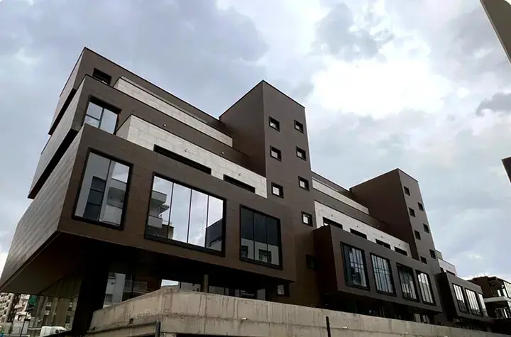 IVY Residence - Structural Facades