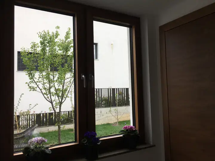 Windows