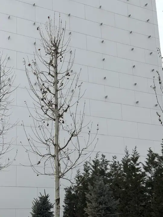 Ventilated Facades